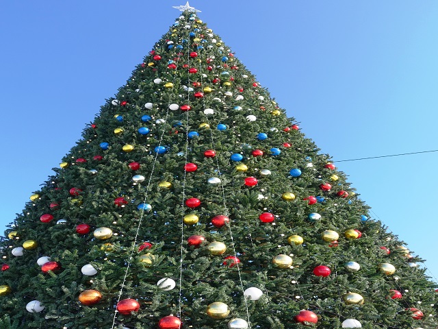 christmas tree in vladivostok at central park