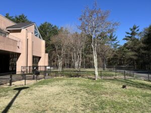 ゆとりろ蓼科 with DOGS