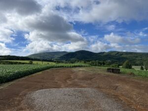 戸外炉峠のねこバス