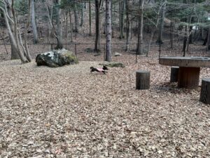 亀の井ホテル塩原　屋外ドッグラン