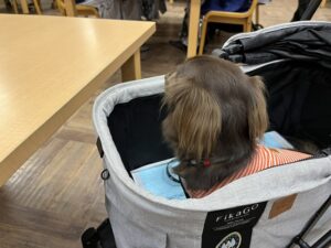 亀の井ホテル塩原の夕食