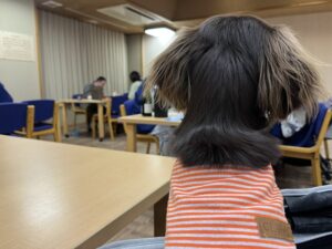 亀の井ホテル塩原ワンちゃんの宿
